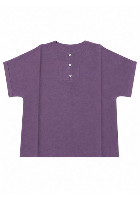 Viola